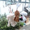 �������c�Â��B