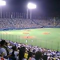 ���V�[�Y���Ō�