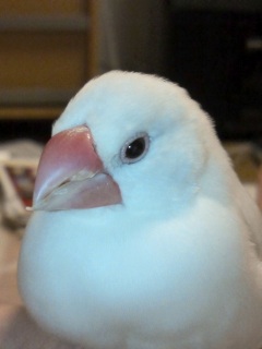 ���߂�