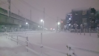 �^�钆�̎U��