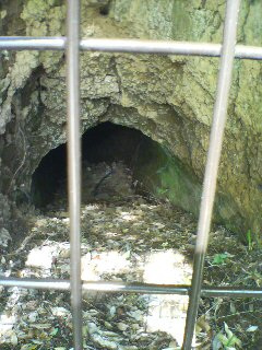 �r�~���[�Șb