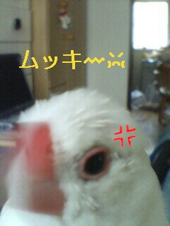 ���A��